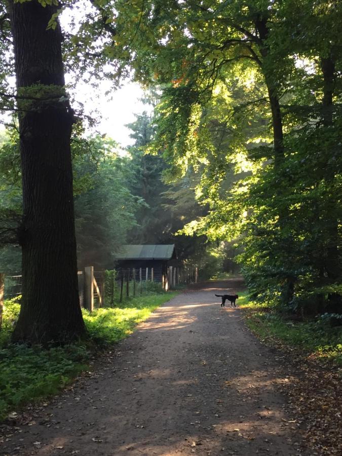 Hannover List 2 Bedroom Home Away From Home Buitenkant foto
